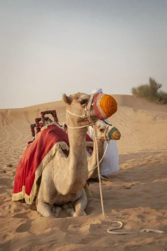 Dubai Group Package