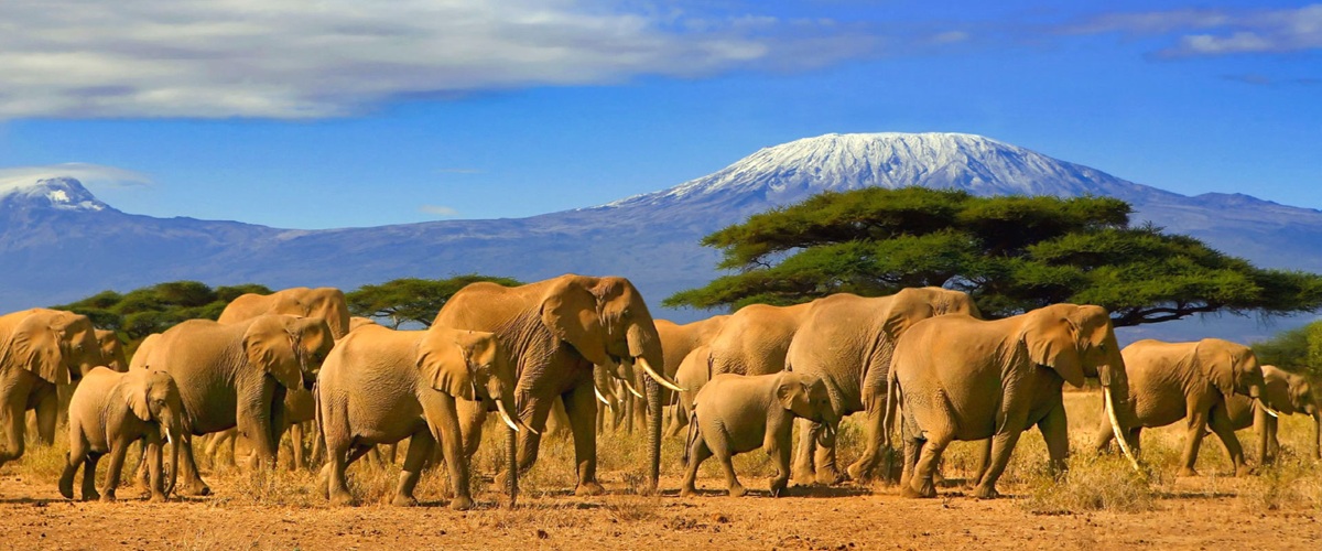 East Africa