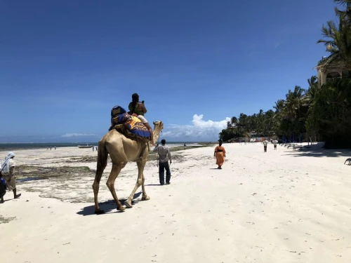 Mombasa Vacation Deals- SGR PACKAGE